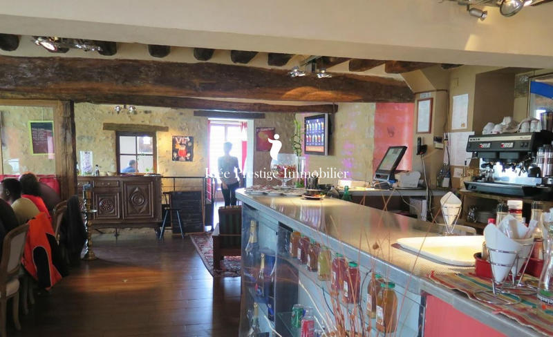 Maison ancienne - 513 m² - 18 pièces