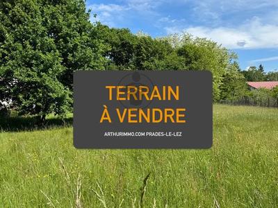 Terrain - 1 272 m²