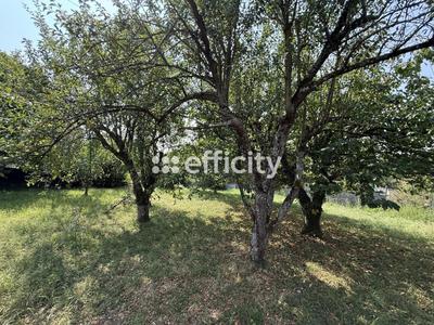 Maison - 250 m² - 6 pièces