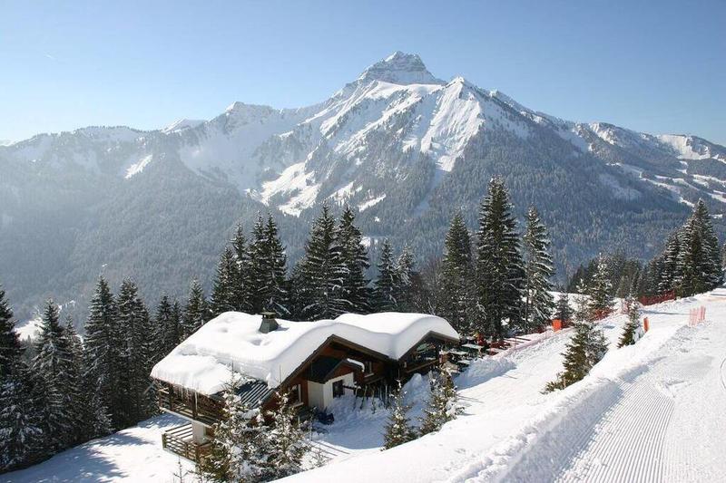 Local commercial - 100 m² - 3 pièces