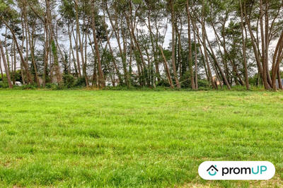 Terrain de loisirs - 952 m²