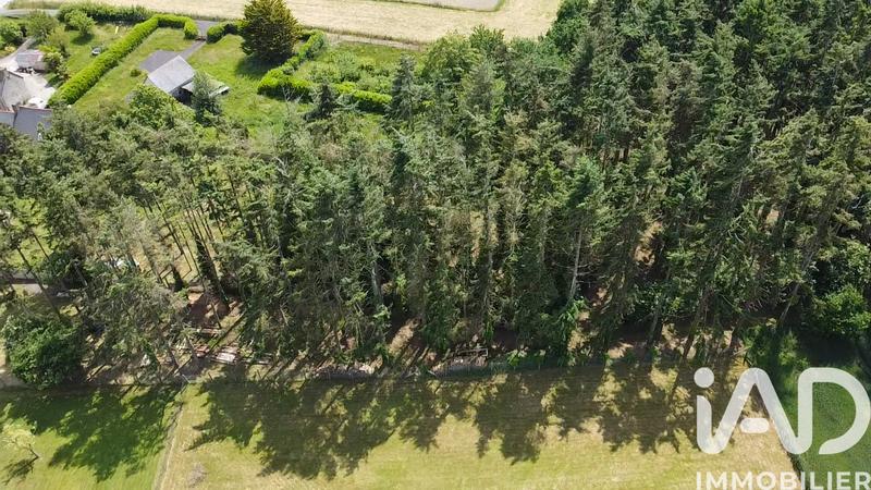 Maison - 160 m² - 5 pièces