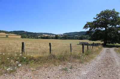 Terrain constructible - 446 m²