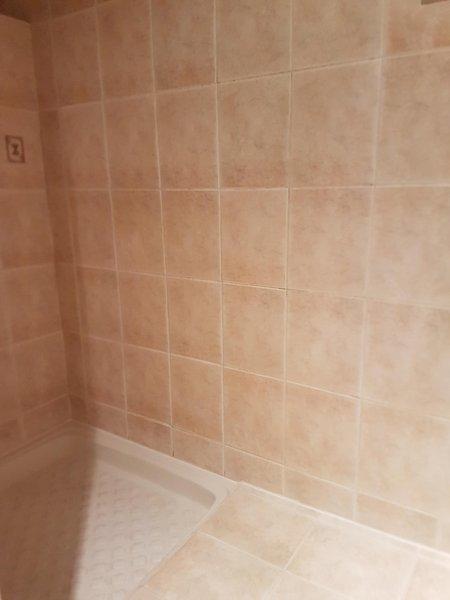 Studio - 30 m² - 1 pièce