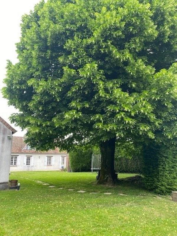 Maison - 270 m² - 10 pièces