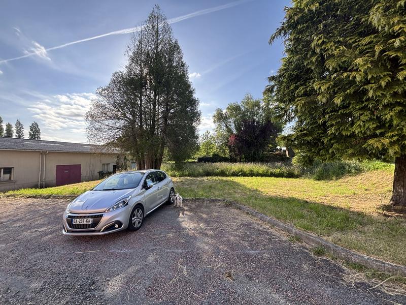 Local commercial - 2 174 m²