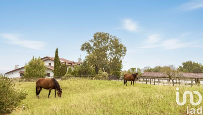 Maison - 290 m² - 9 pièces