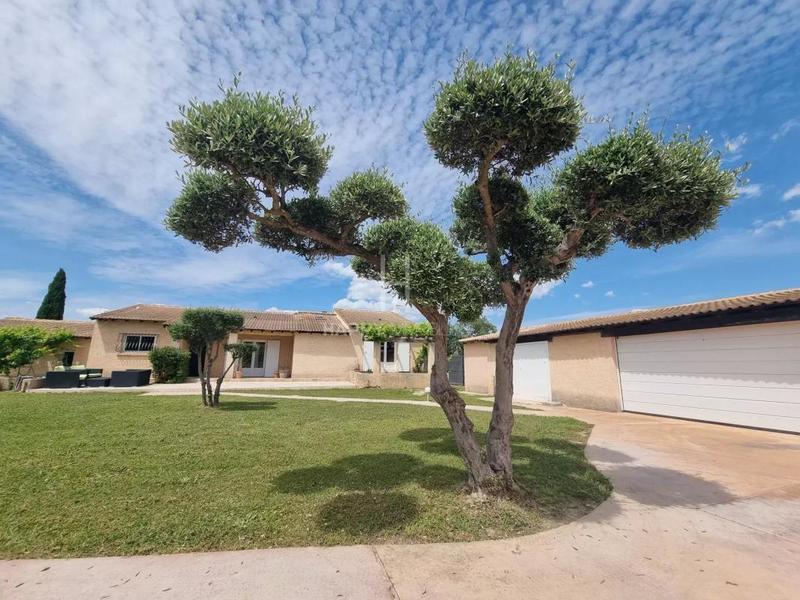 Maison - 216 m² - 7 pièces