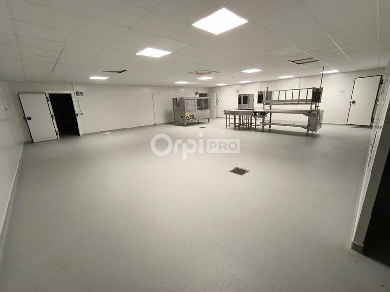 Local d'activité / Entrepôt - 1 500 m²