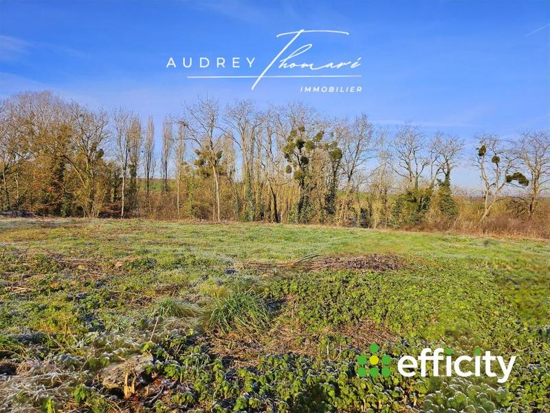 Terrain - 749 m²