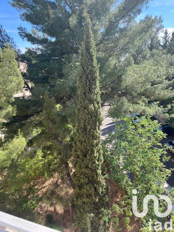 Appartement - 76 m² - 3 pièces