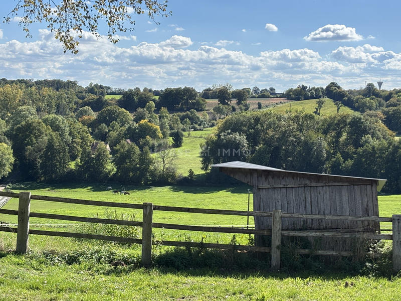 Maison - 310 m² - 7 pièces