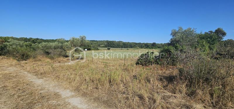 Terrain agricole - 15 401 m²
