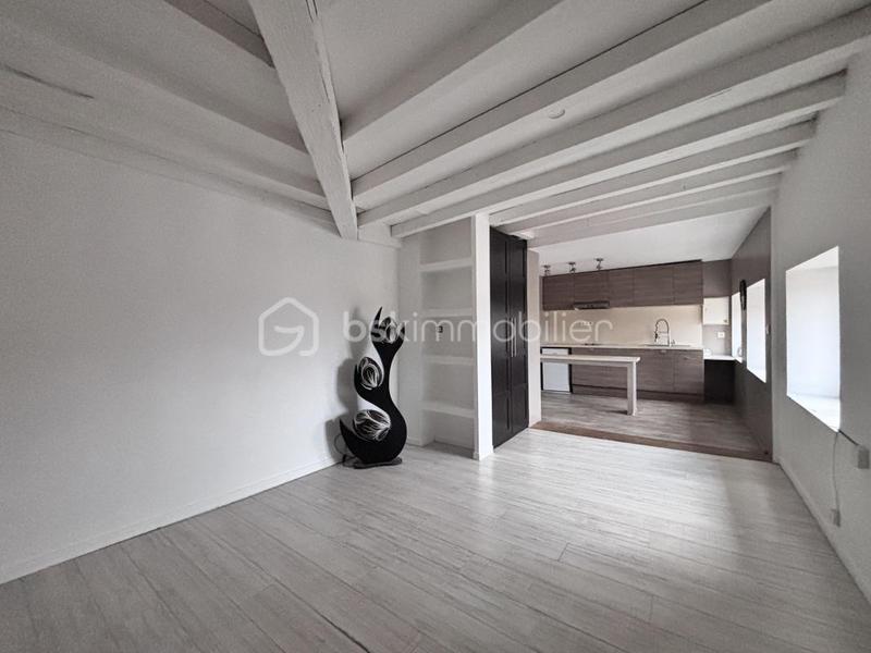 Loft - 44 m² - 2 pièces