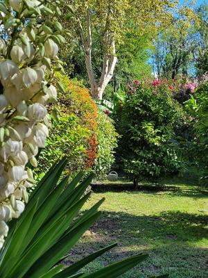 Maison - 90 m² - 3 pièces