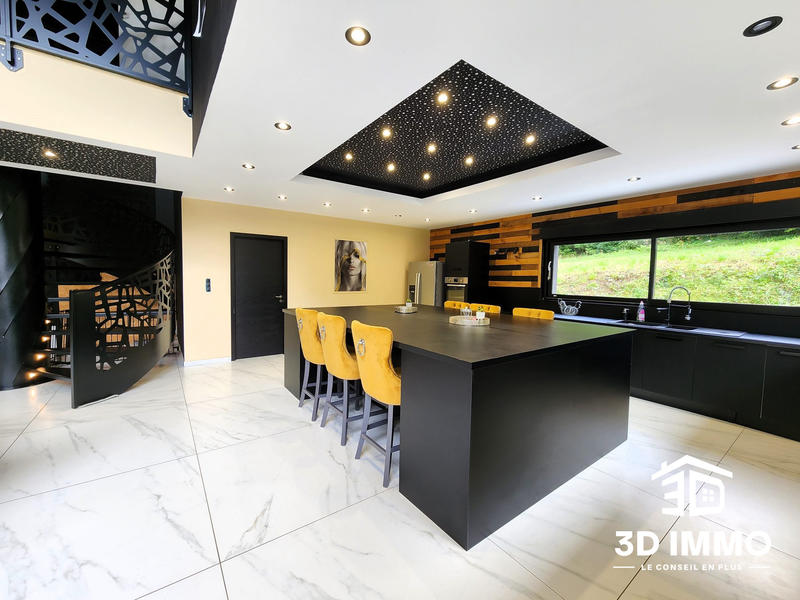 Maison - 325 m² - 8 pièces