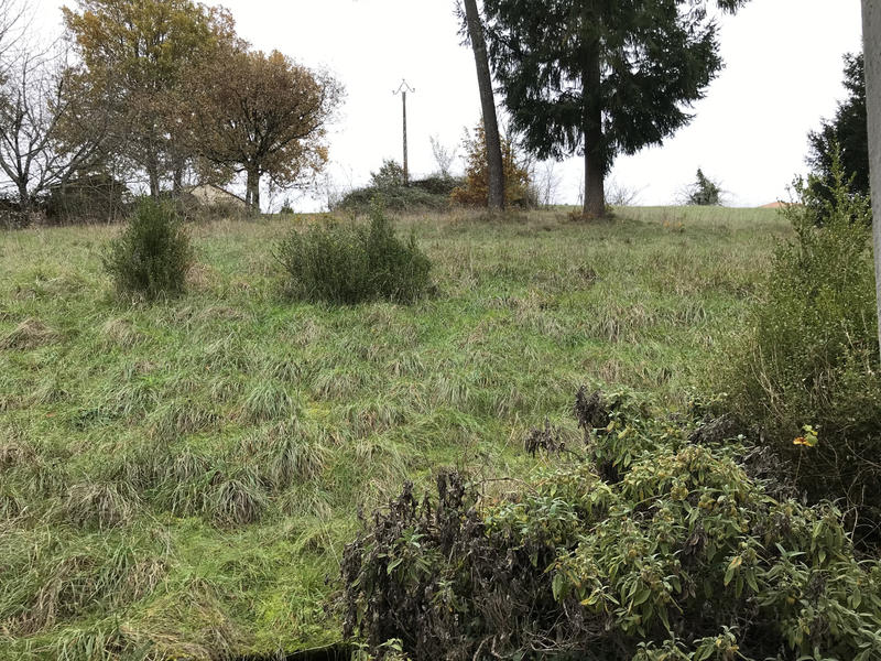 Maison de village - 125 m² - 5 pièces