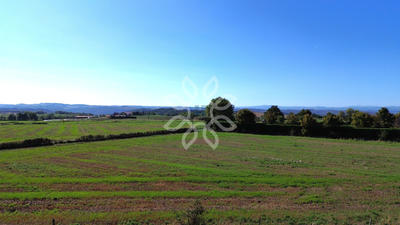 Terrain - 13 541 m²