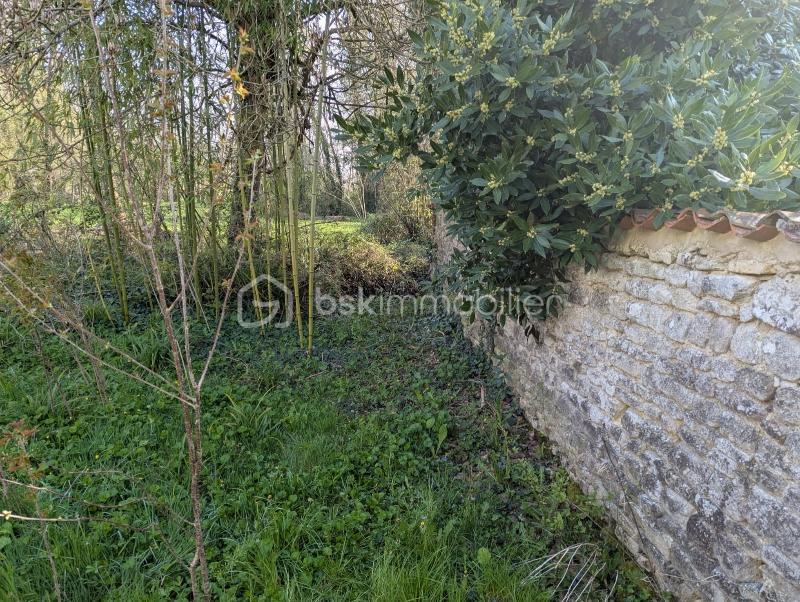 Maison de campagne - 100 m² - 3 pièces