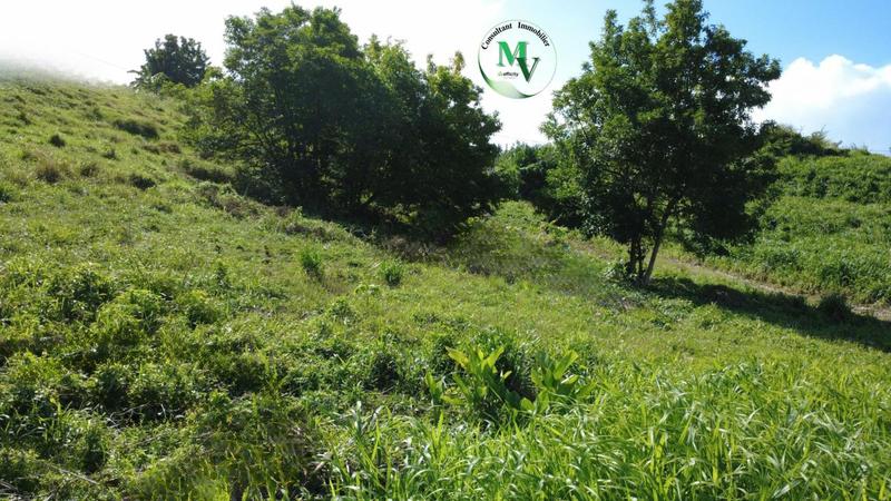 Terrain constructible - 1 241 m²