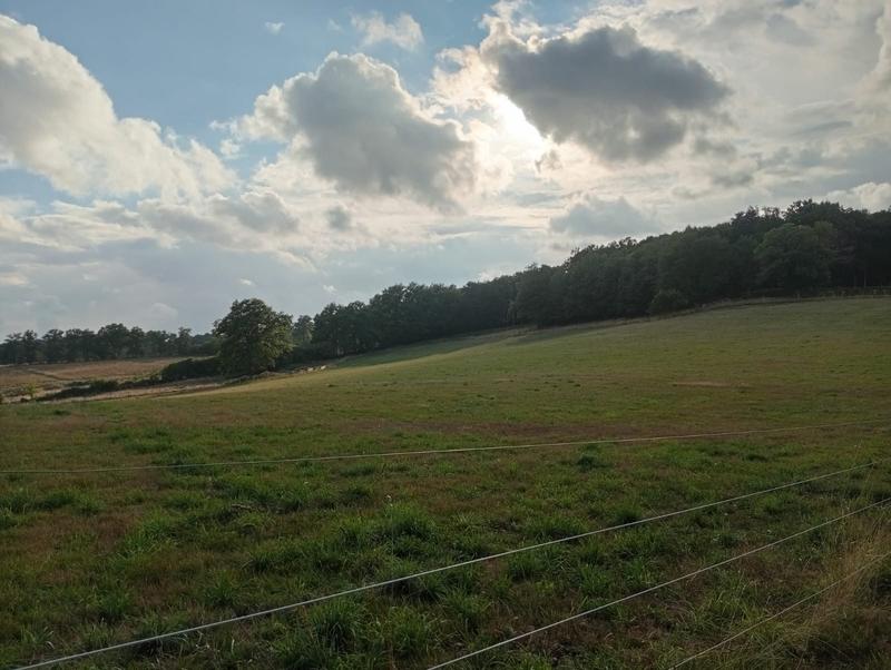 Terrain agricole - 151 596 m²