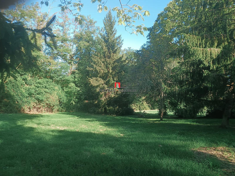 Maison - 215 m² - 5 pièces