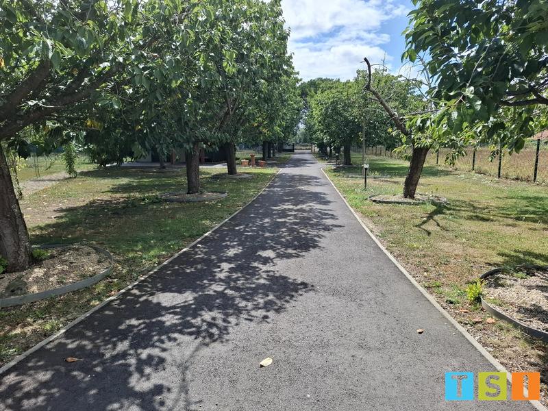 Maison - 175 m² - 5 pièces