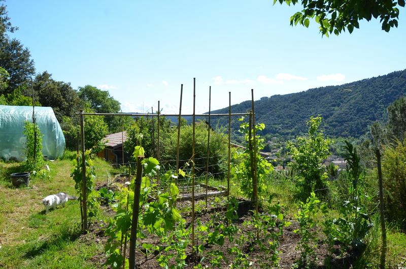 Maison en pierre - 102 m² - 5 pièces