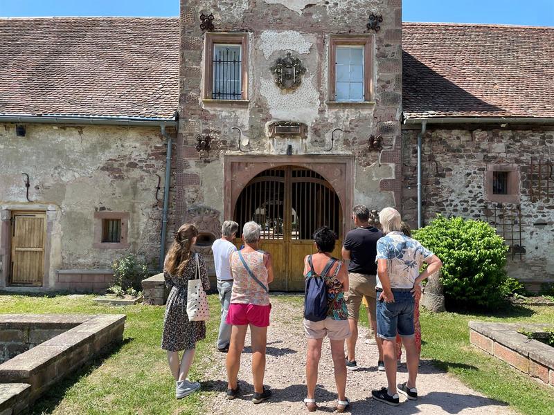 Visite guidée historique du château de Thanvillé