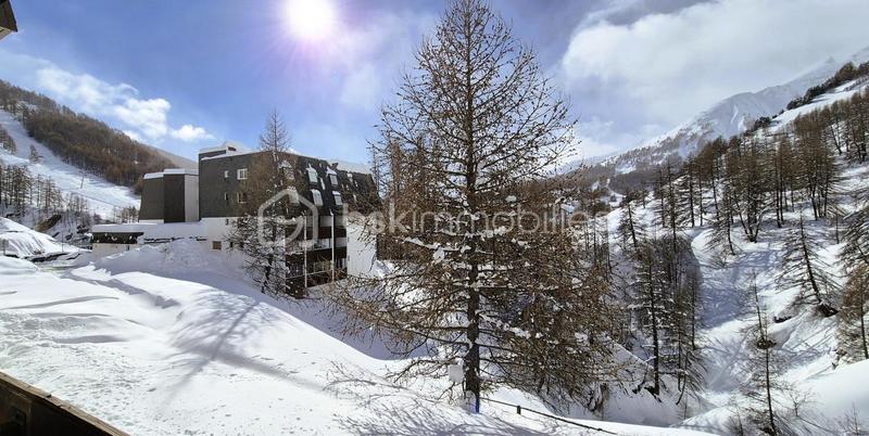 Studio - 31 m² - 1 pièce