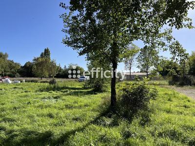 Terrain - 646 m²