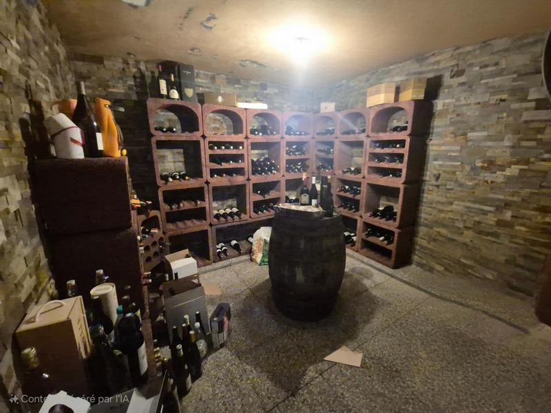 Maison - 229 m² - 6 pièces