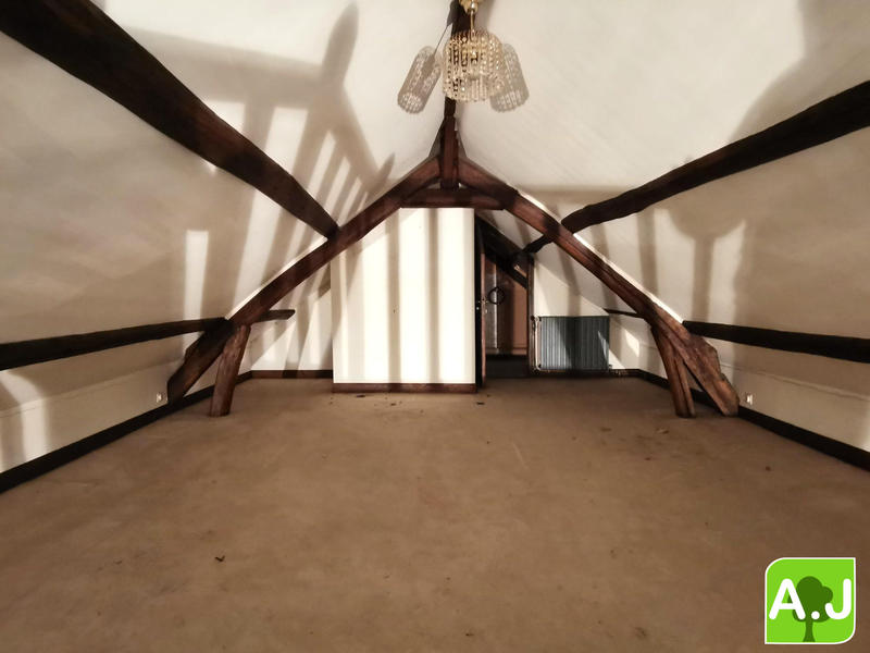 Maison ancienne - 332 m² - 9 pièces