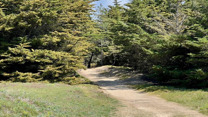 Appartement - 51 m² - 3 pièces