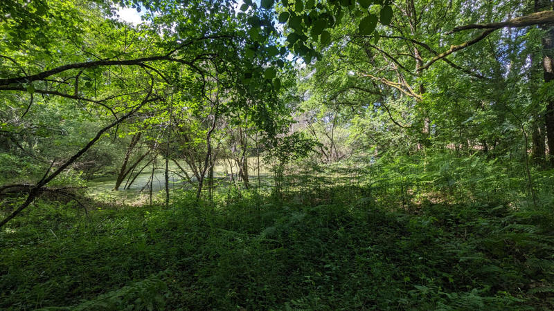 Terrain - 45 170 m²