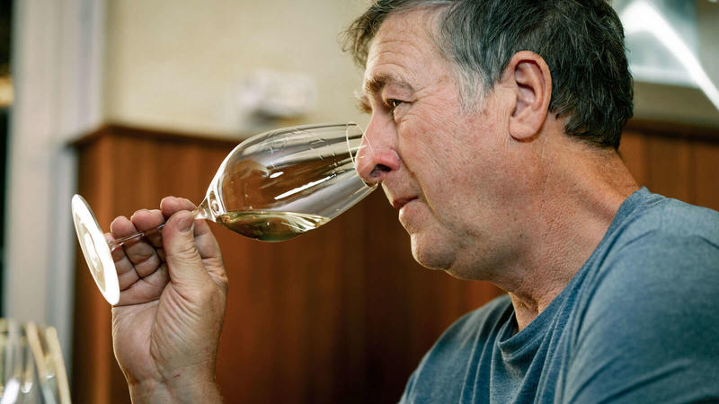 Parenthèse Vigneronne : Qi Gong au milieu des vignes