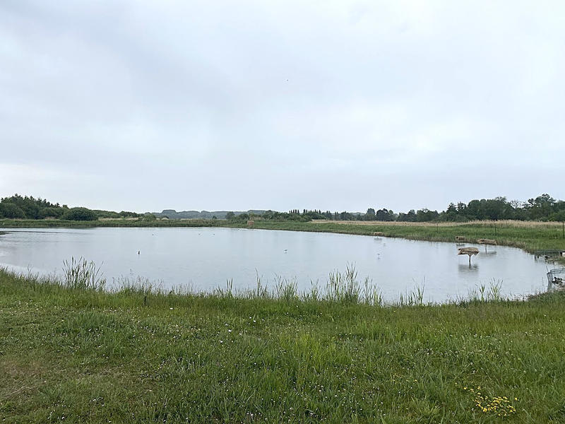 Terrain - 16 950 m²