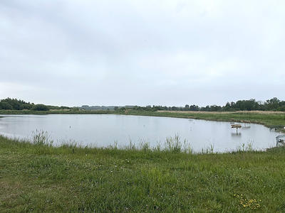 Terrain - 16 950 m²