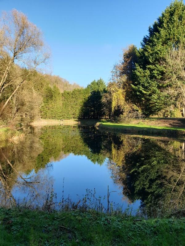 Terrain de loisirs - 3 200 m²