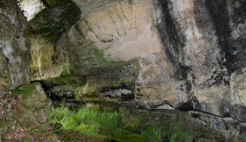 Découverte du site du Mugron - Roc de Thau avec Paleo Estuaire 33