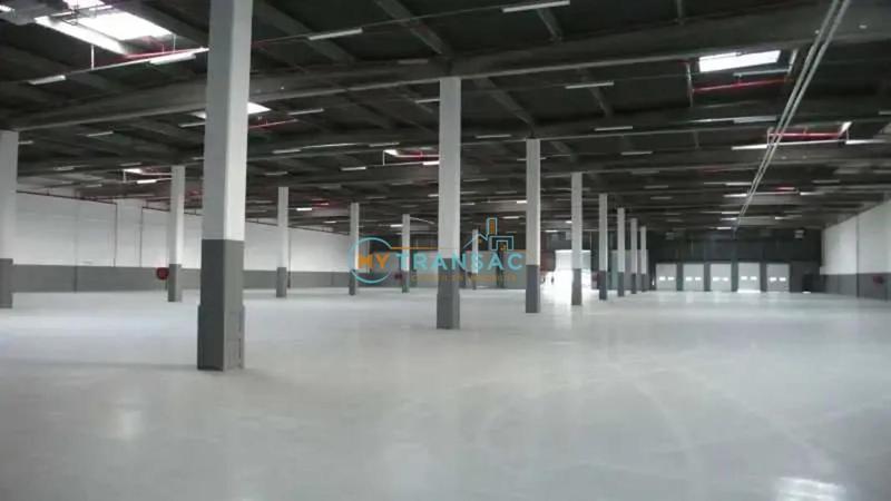 Entrepôt - 4 305 m²