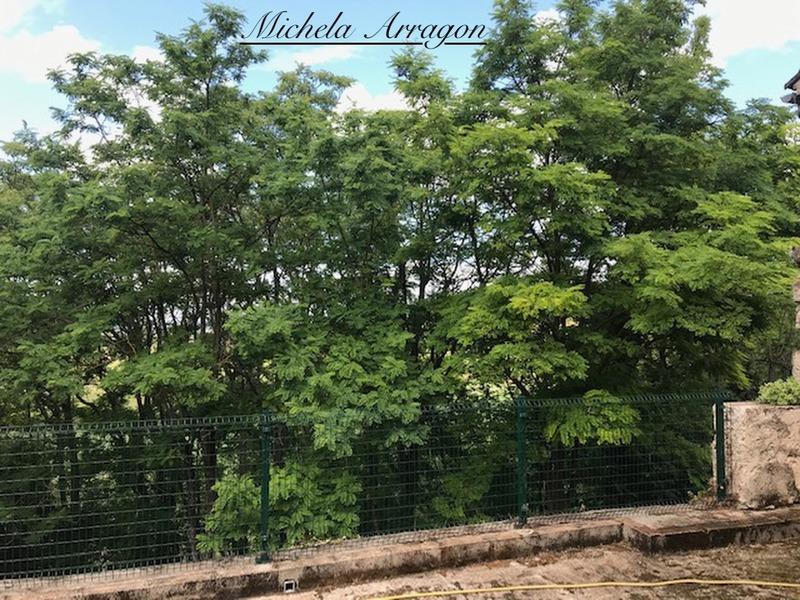 Maison de ville - 74 m² - 3 pièces