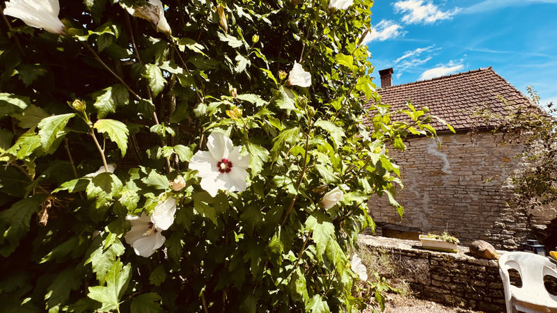 Maison - 45 m² - 2 pièces