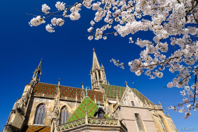 Concert : Feu sacré