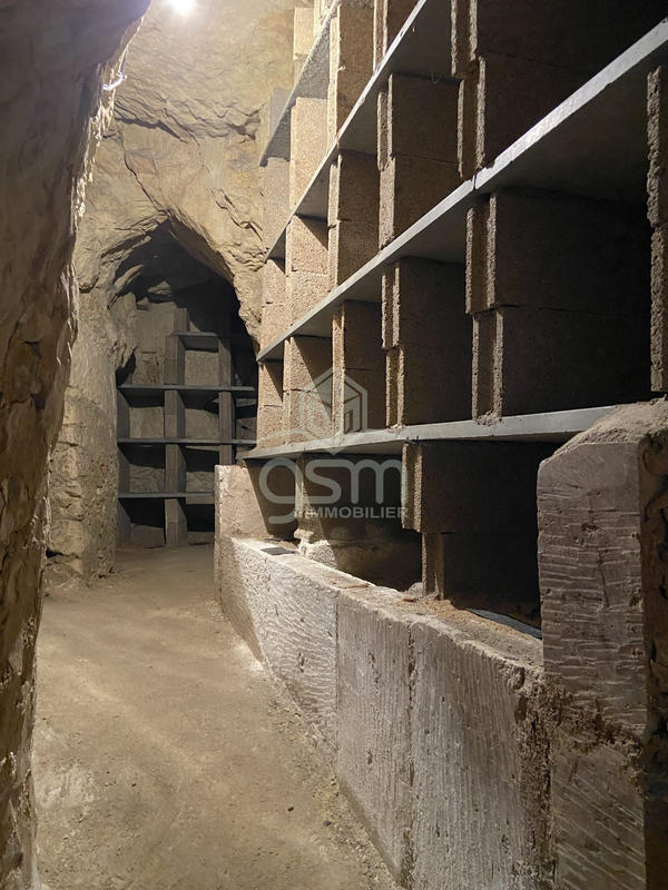 Maison ancienne - 230 m² - 7 pièces