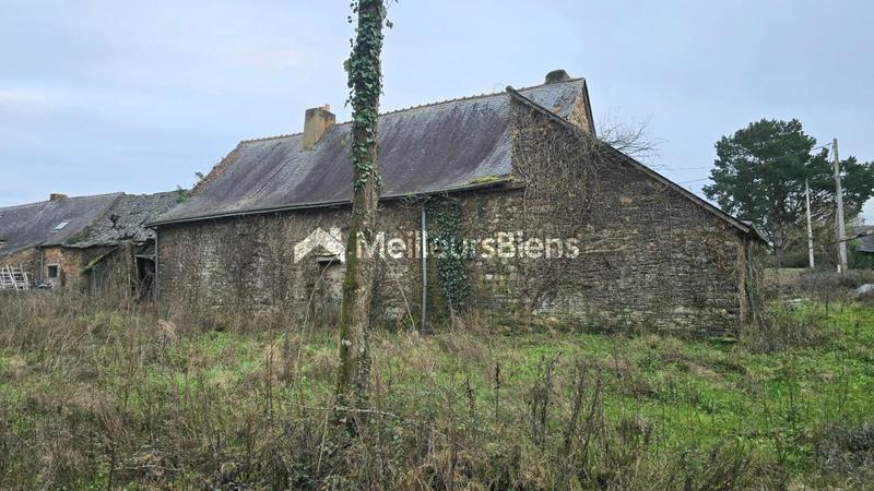 Maison de campagne - 340 m² - 3 pièces