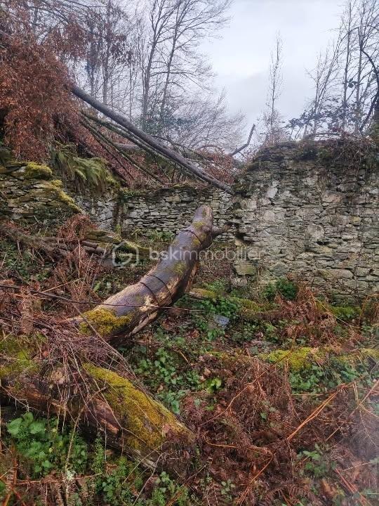 Maison - 60 m² - 1 pièce