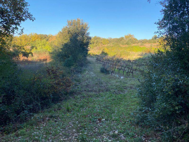 Terrain agricole - 7 770 m²