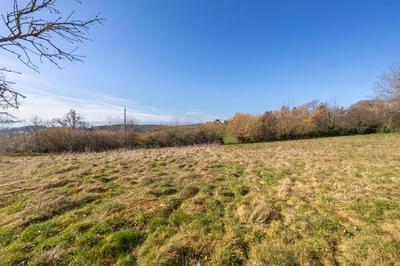 Terrain constructible - 1 254 m²