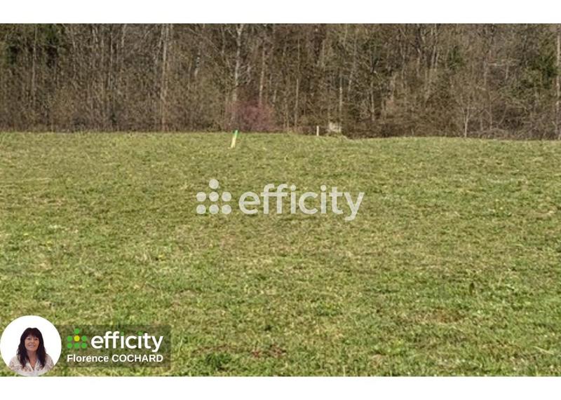 Terrain constructible - 1 249 m²
